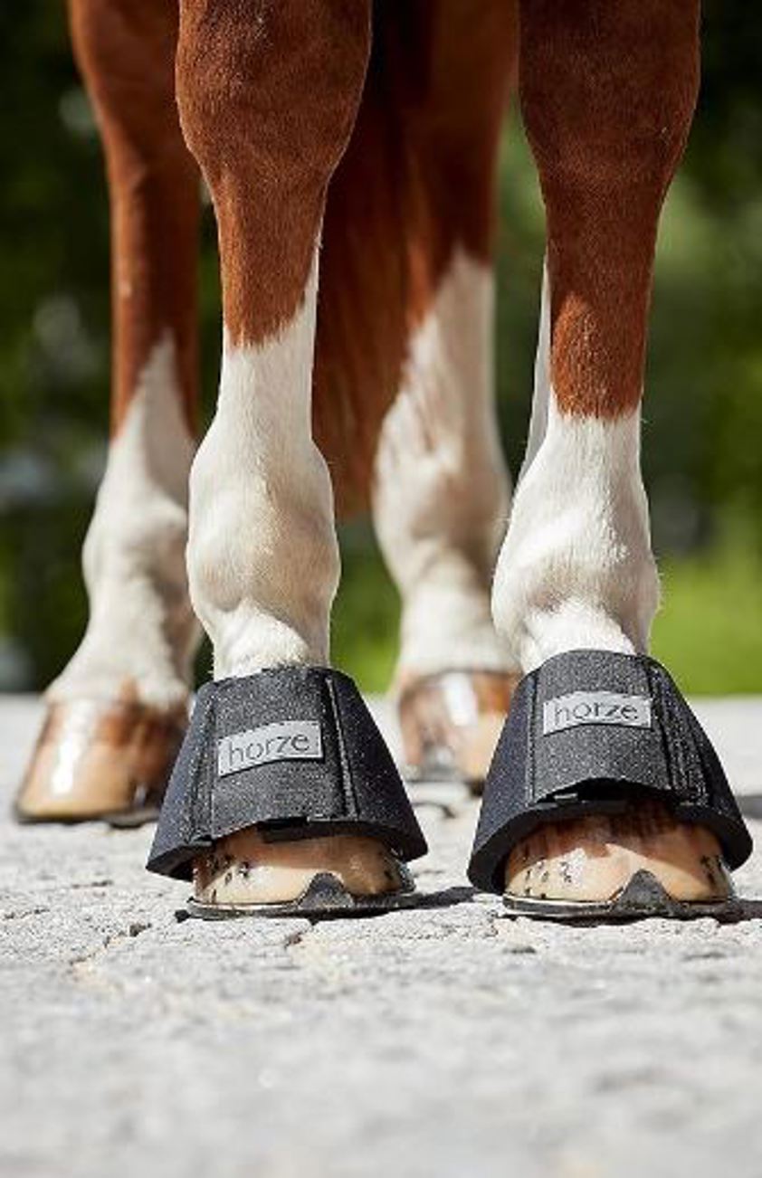 Black Horze ProBell Boots