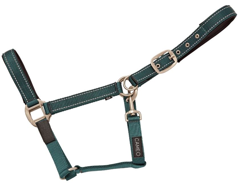 Green/Reflective Cameo Fieldsafe Headcollar