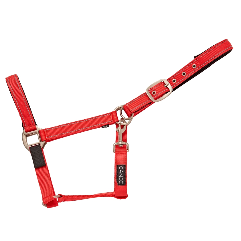 Red/Reflective Cameo Fieldsafe Headcollar