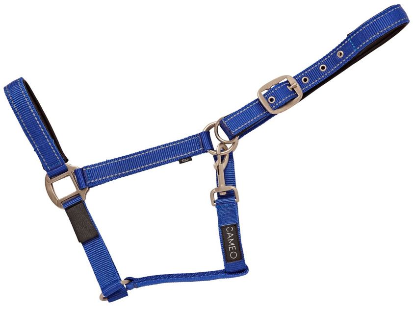 Royal/Reflective Cameo Fieldsafe Headcollar