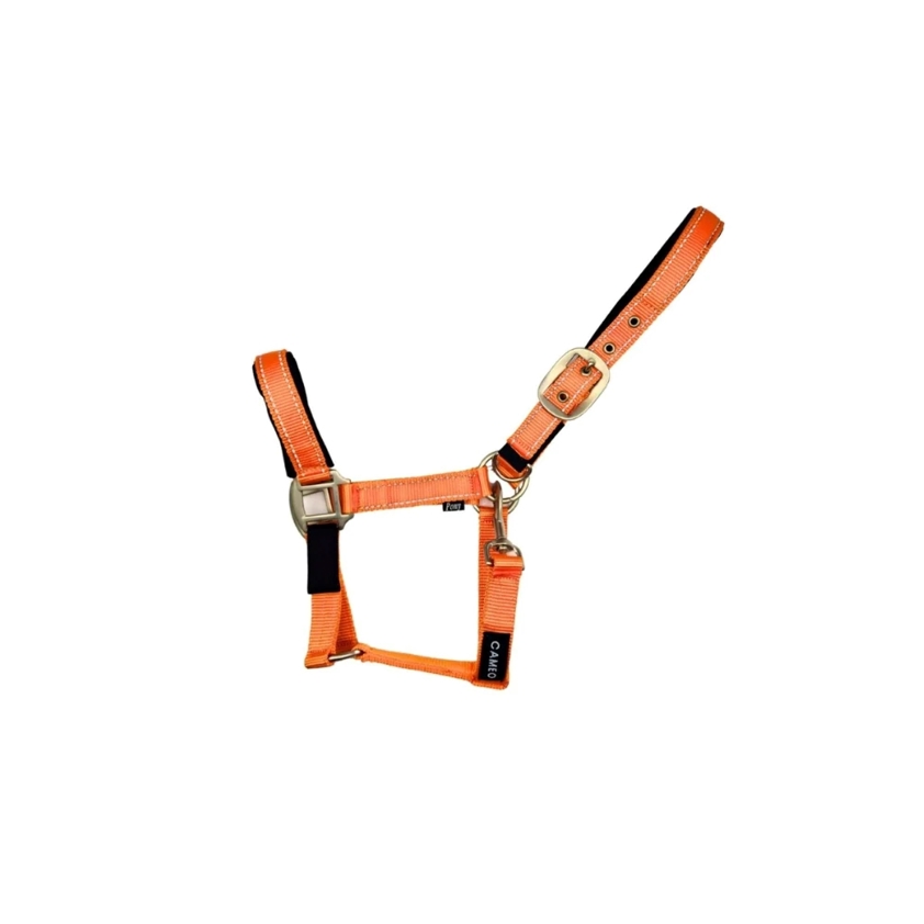 Orange/Relfective Cameo Fieldsafe Headcollar