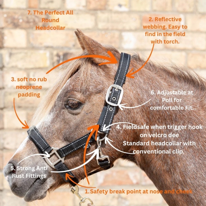 Black/Reflective Cameo Fieldsafe Headcollar