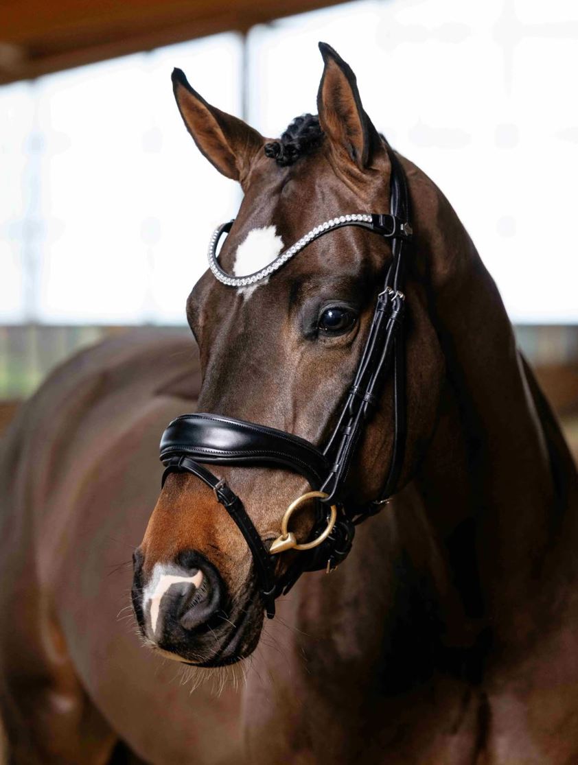 Black LeMieux Kudos Anatomic Dressage Bridle