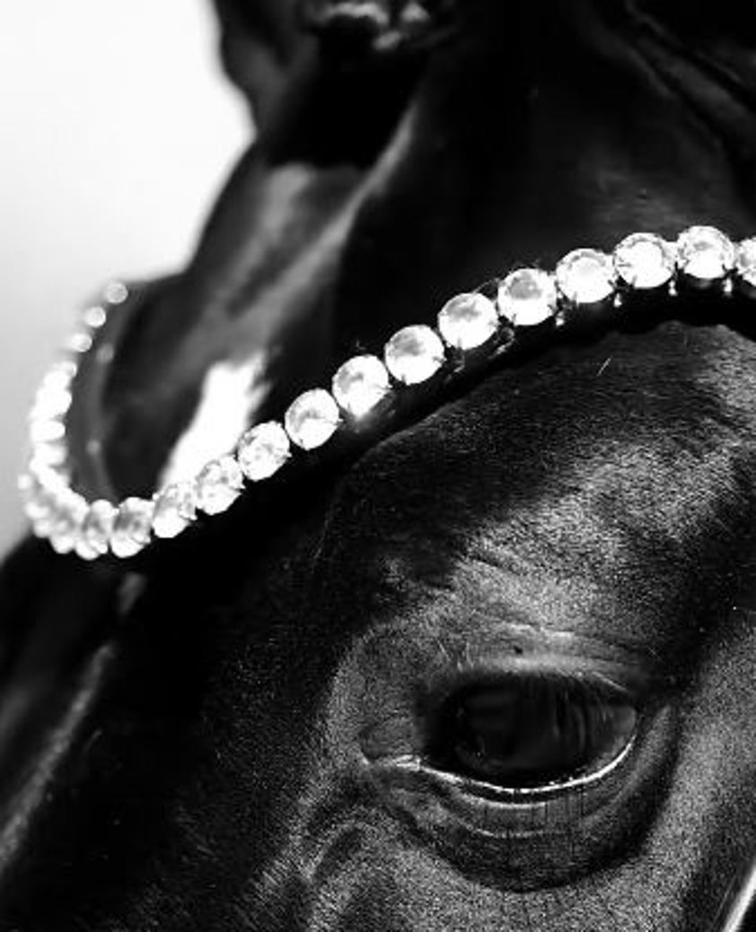 Black Acavallo Dressage Double Bridle With Stones
