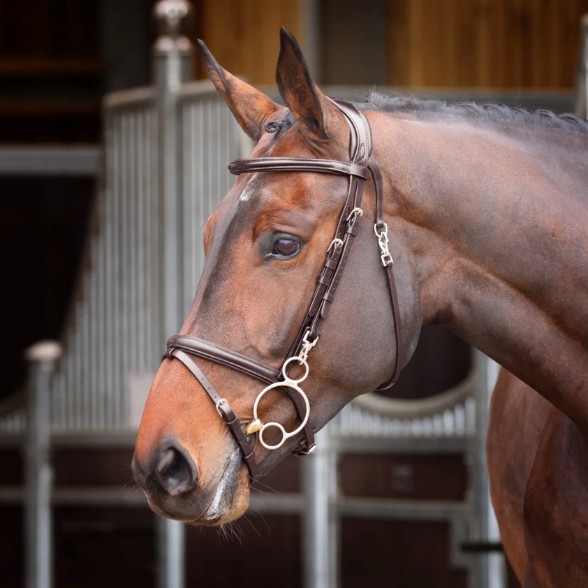 Havana Velociti Rapida Training Bridle