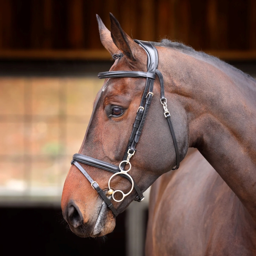 Black Velociti Rapida Training Bridle