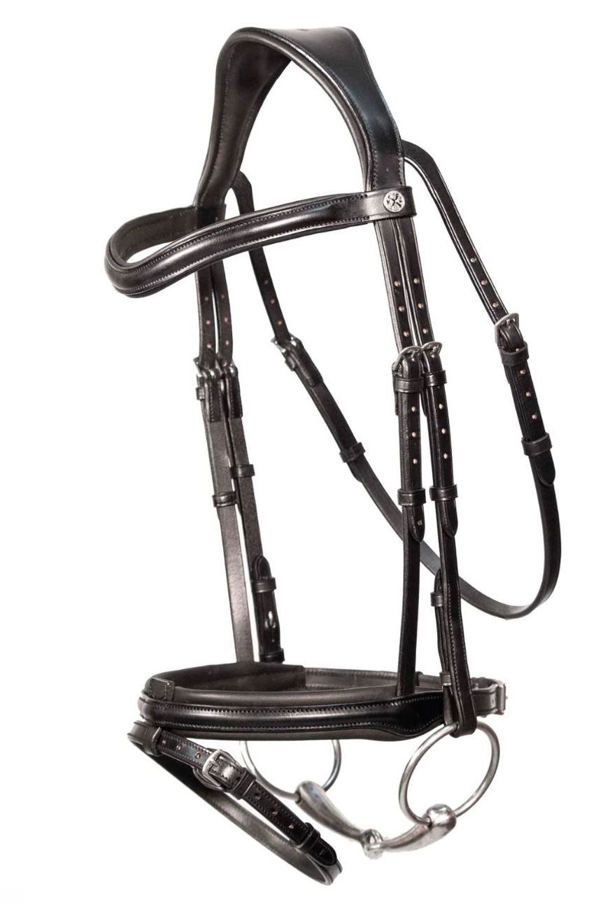Black Henry James Flash Bridle with Arc Classic Headpiece