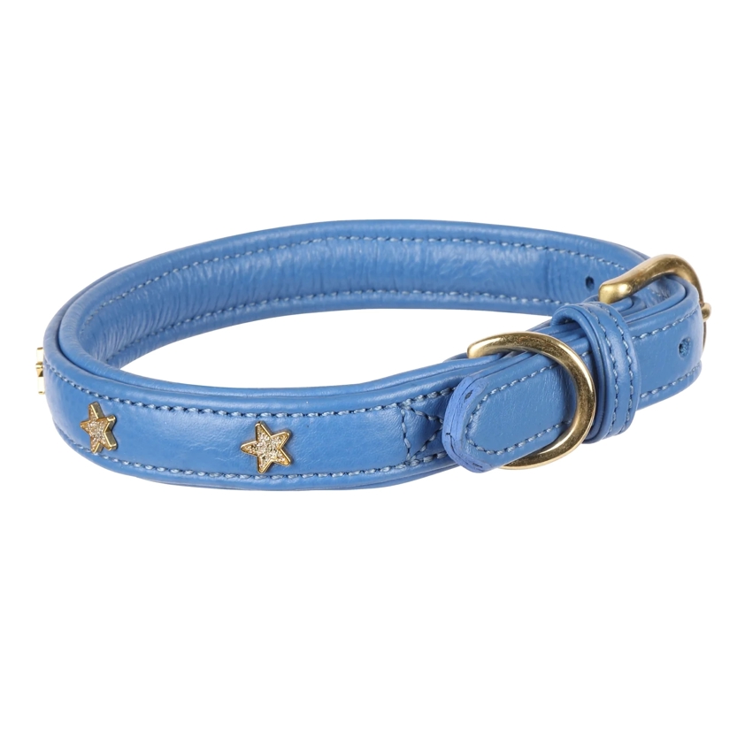 Royal Blue Star Dog Collar