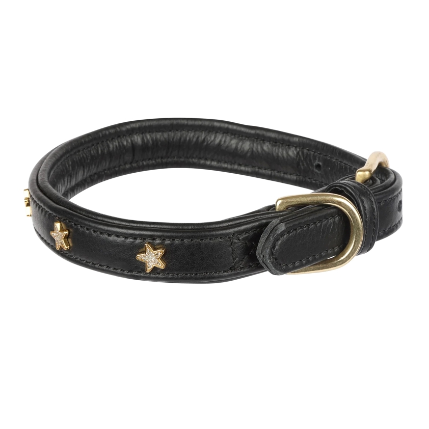 Black Star Dog Collar