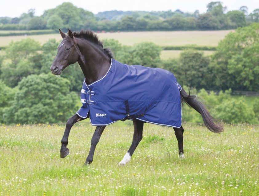 Navy Tempest Original Lite Turnout Rug