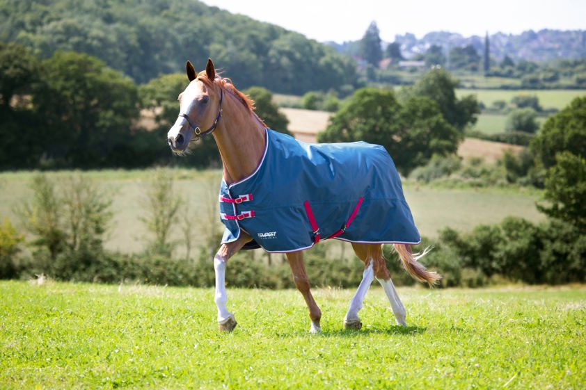 Teal Tempest Original Lite Turnout Rug