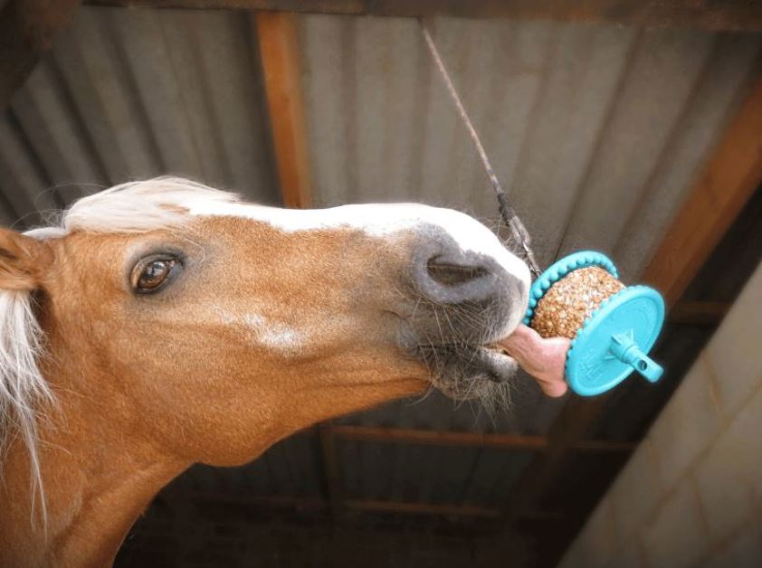Molasses Likit Granola Refill