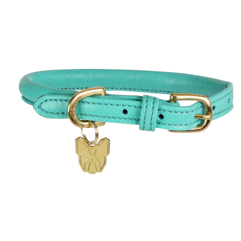 Teal Rolled Leather Dog Collar