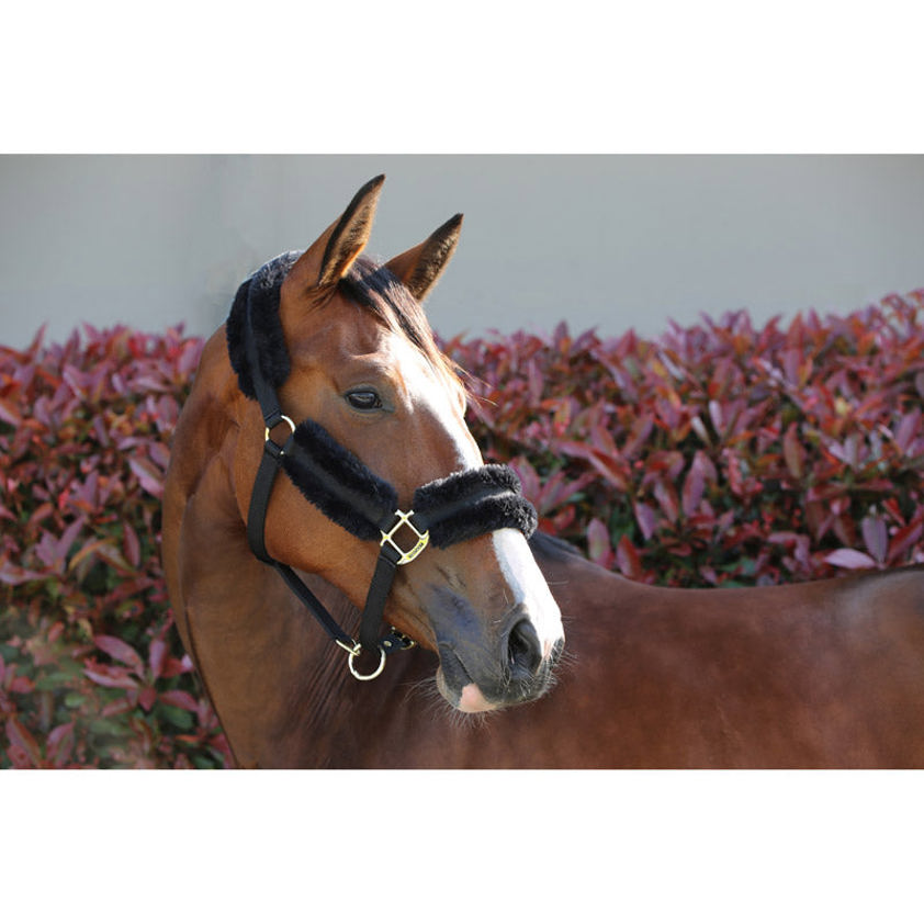 Black Kentucky Nylon Sheepskin Headcollar