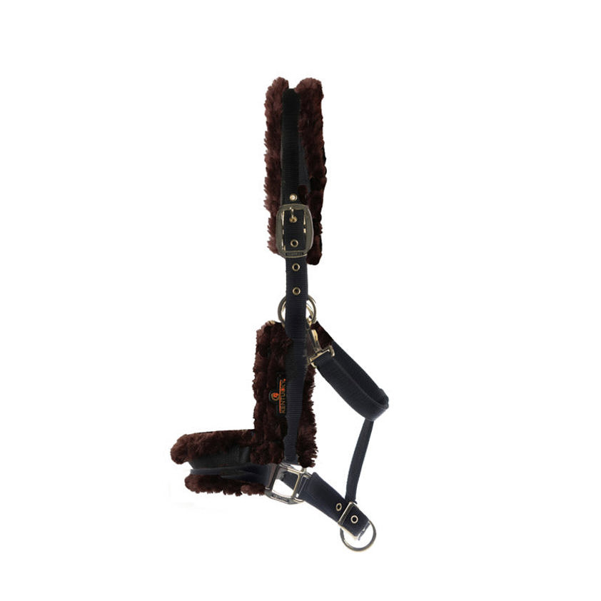 Brown Kentucky Nylon Sheepskin Headcollar