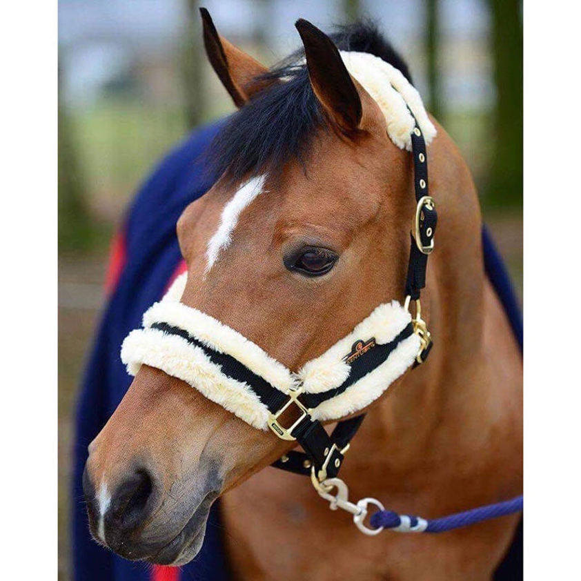 Natural Kentucky Nylon Sheepskin Headcollar