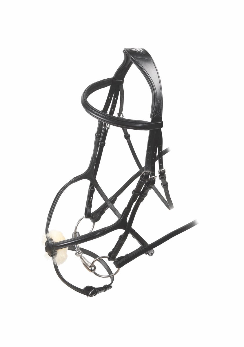 Black Velociti Grackle Bridle