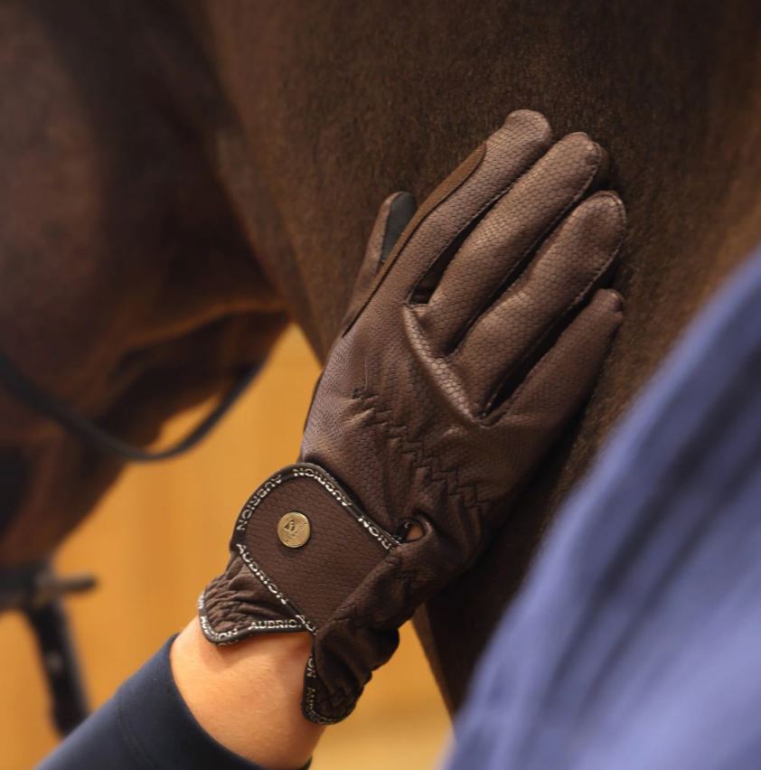 Brown Aubrion Stadium Riding Gloves