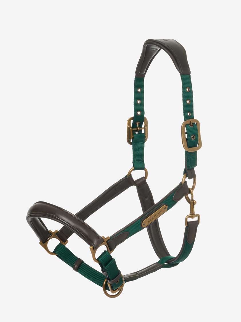 Spruce LeMieux Capella Headcollar