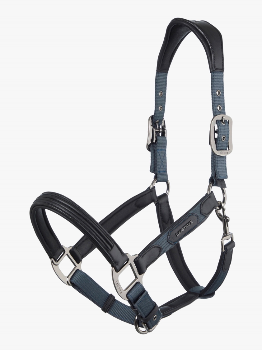 Petrol LeMieux Capella Headcollar