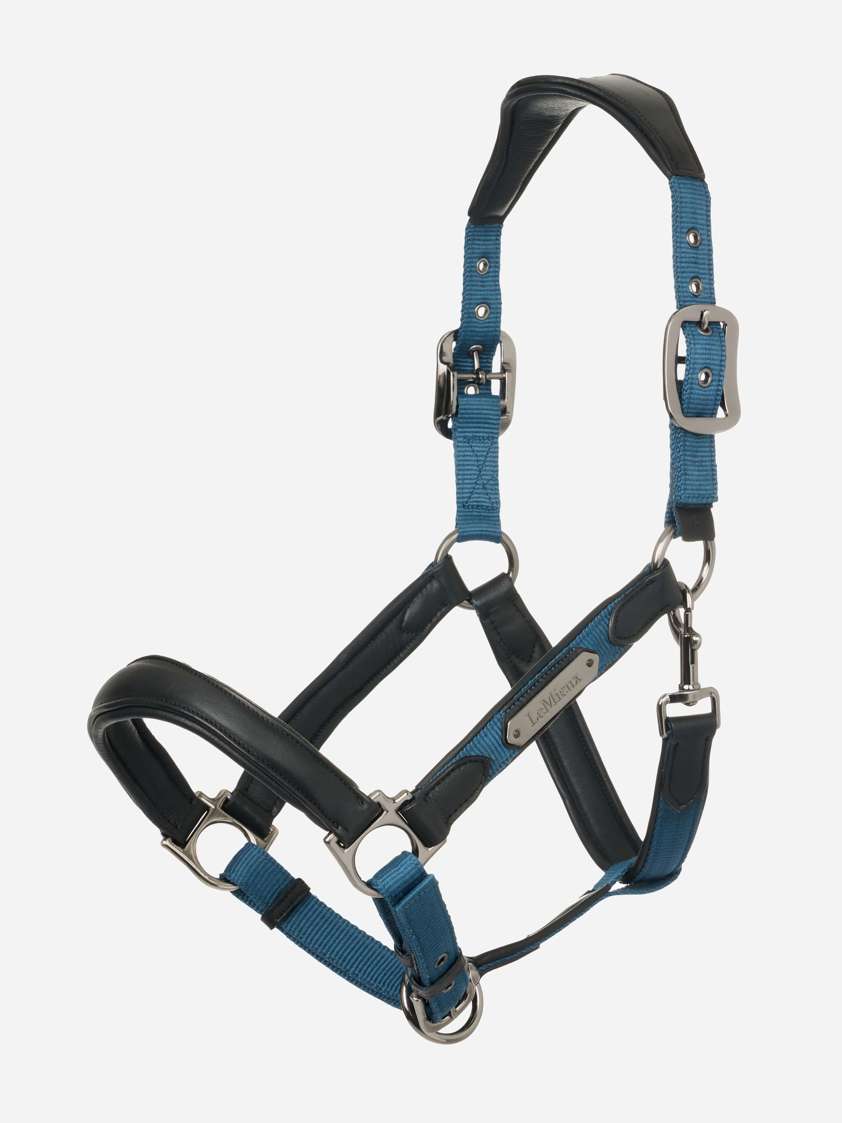 Atlantic LeMieux Capella Headcollar