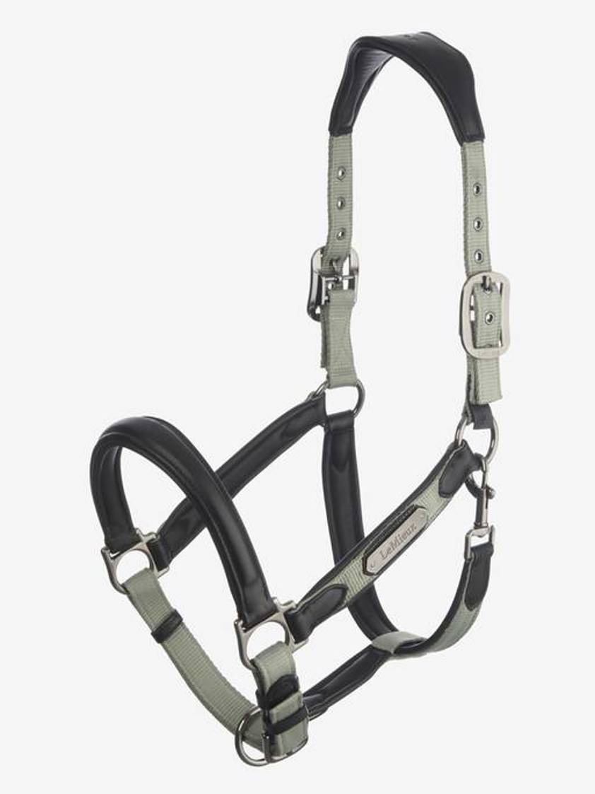 Thyme LeMieux Capella Headcollar