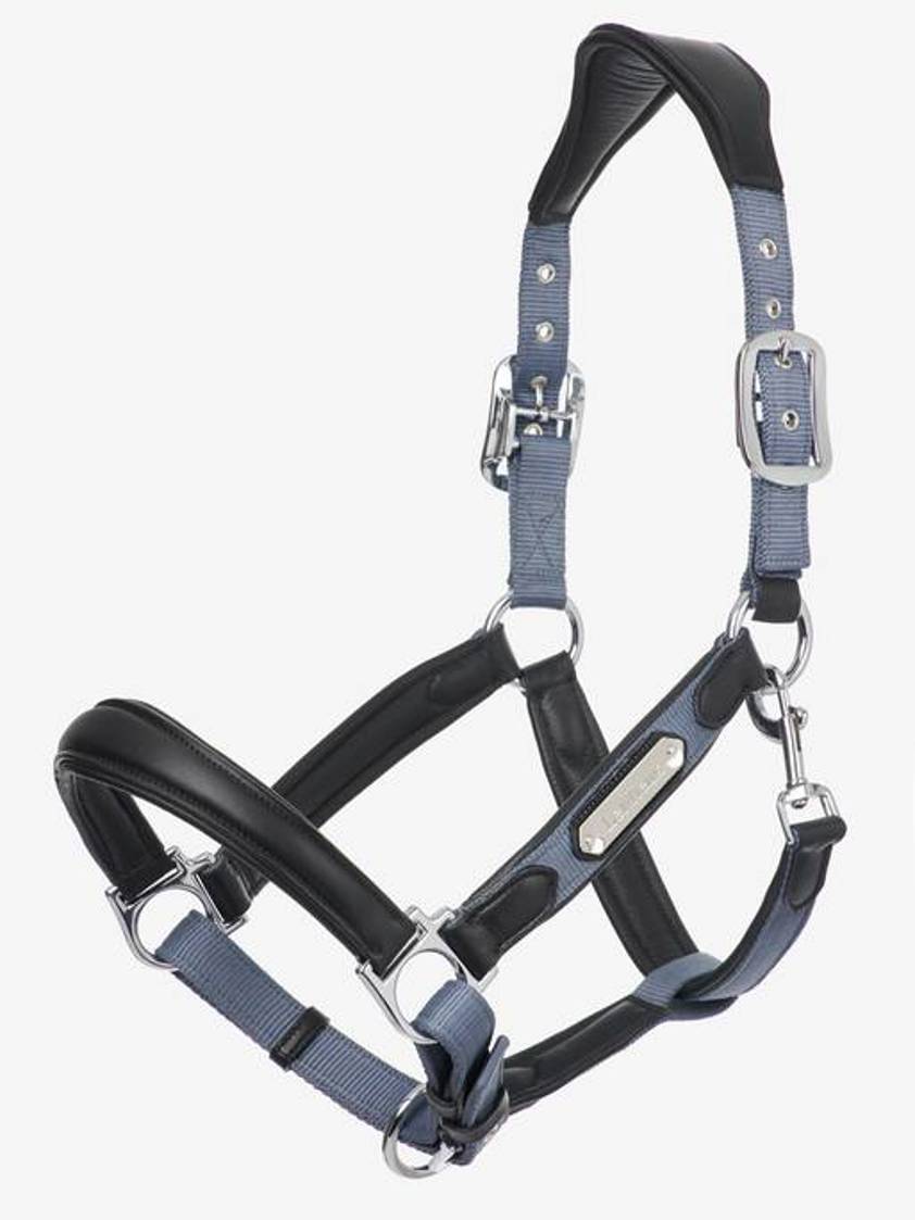 Jay Blue LeMieux Capella Headcollar