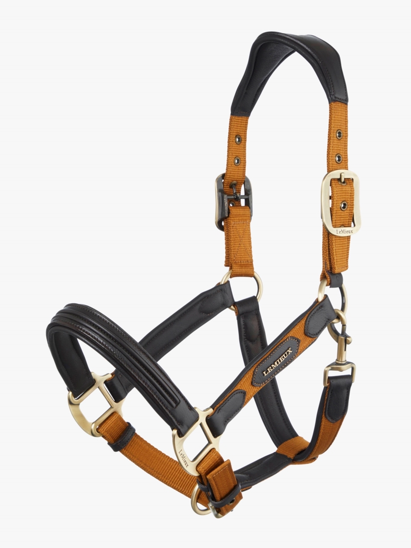 Ginger LeMieux Capella Headcollar