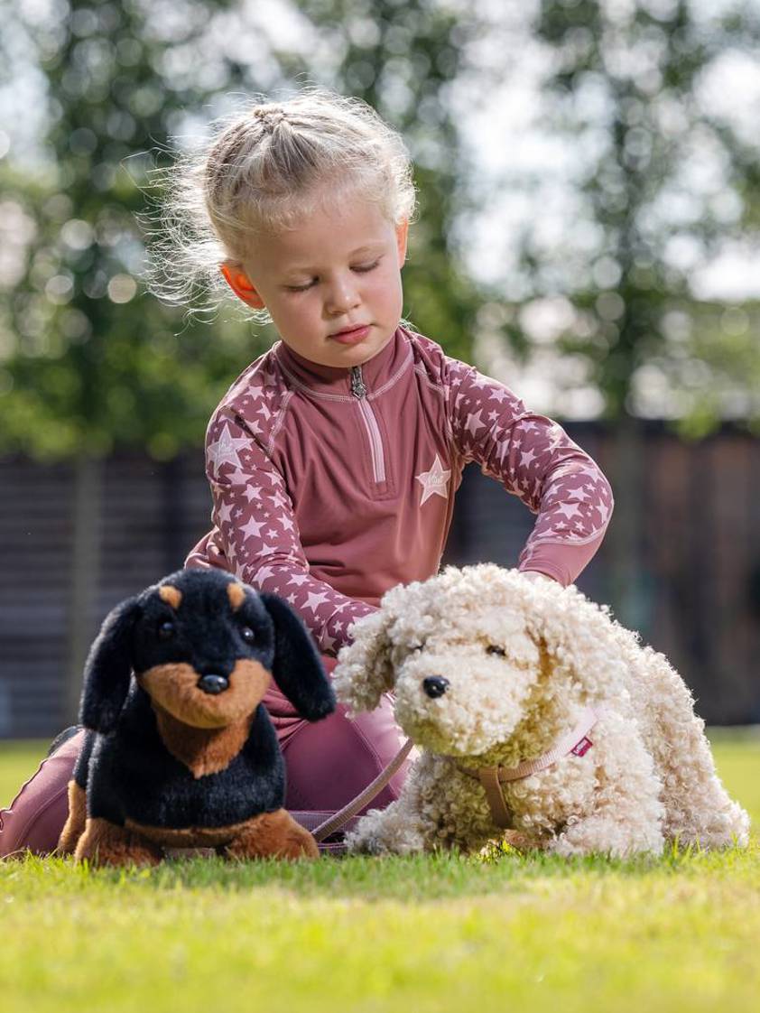 Sally LeMieux Toy Puppy