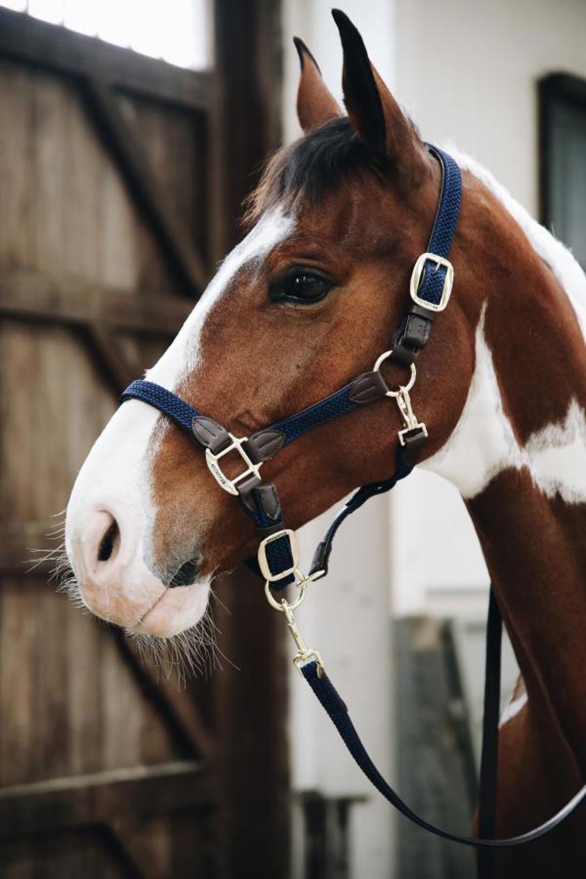 Navy Kentucky Plaited Nylon Dog & Horse Lead 2 Meters