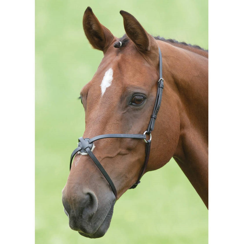 Black Blenheim Grackle Noseband