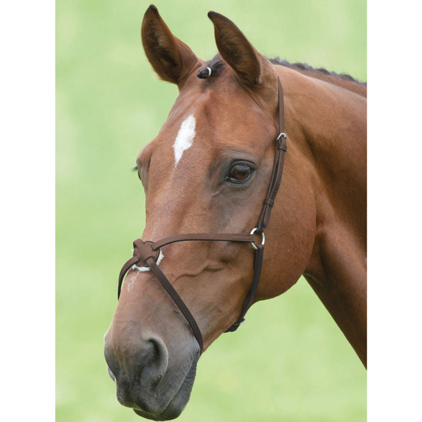 Havana Blenheim Grackle Noseband