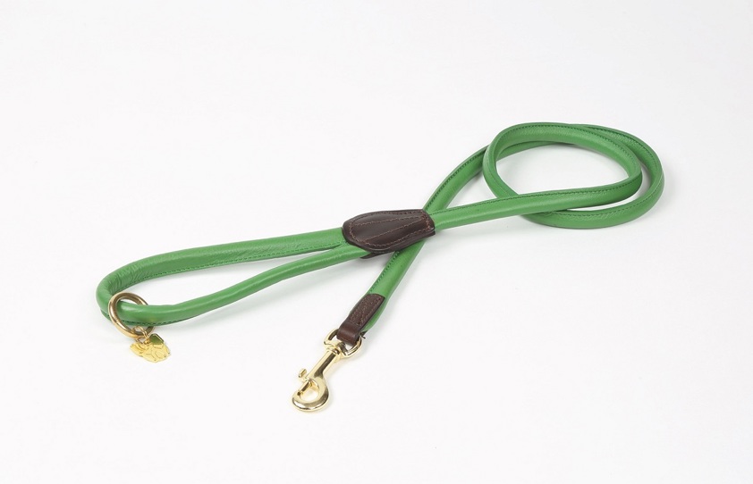 Green Rolled Leather Dog Lead