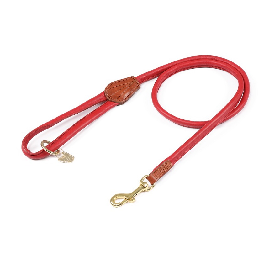 Scarlett Rolled Leather Dog Lead