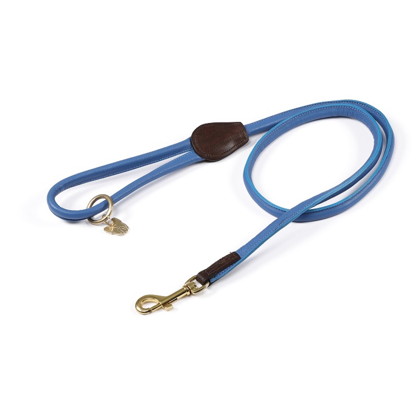 Royal Blue Rolled Leather Dog Lead