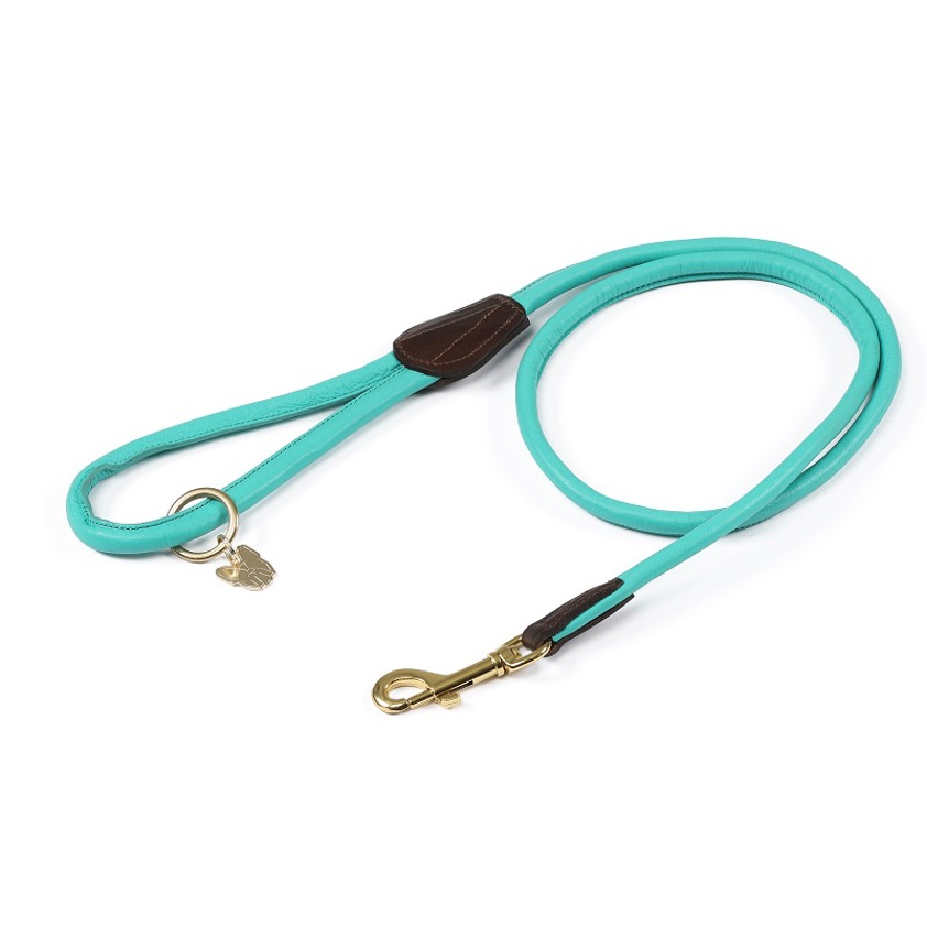 Teal Rolled Leather Dog Lead