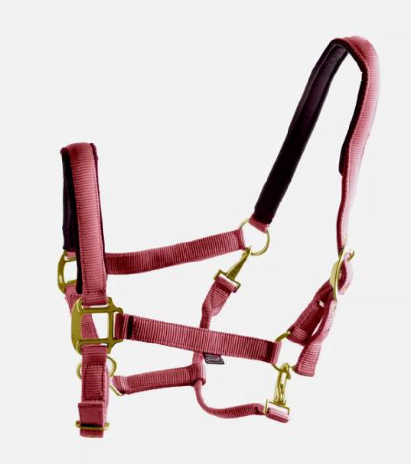 Burgundy Ascot Nylon Headcollar