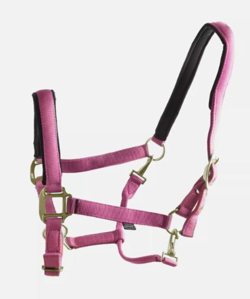 Pink Ascot Nylon Headcollar