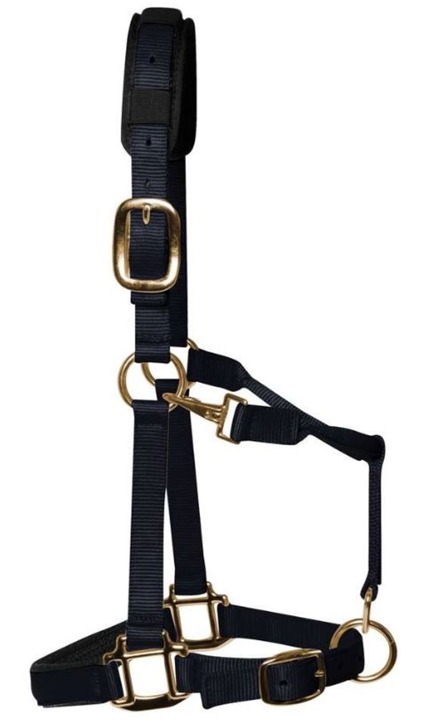 Black Ascot Nylon Headcollar