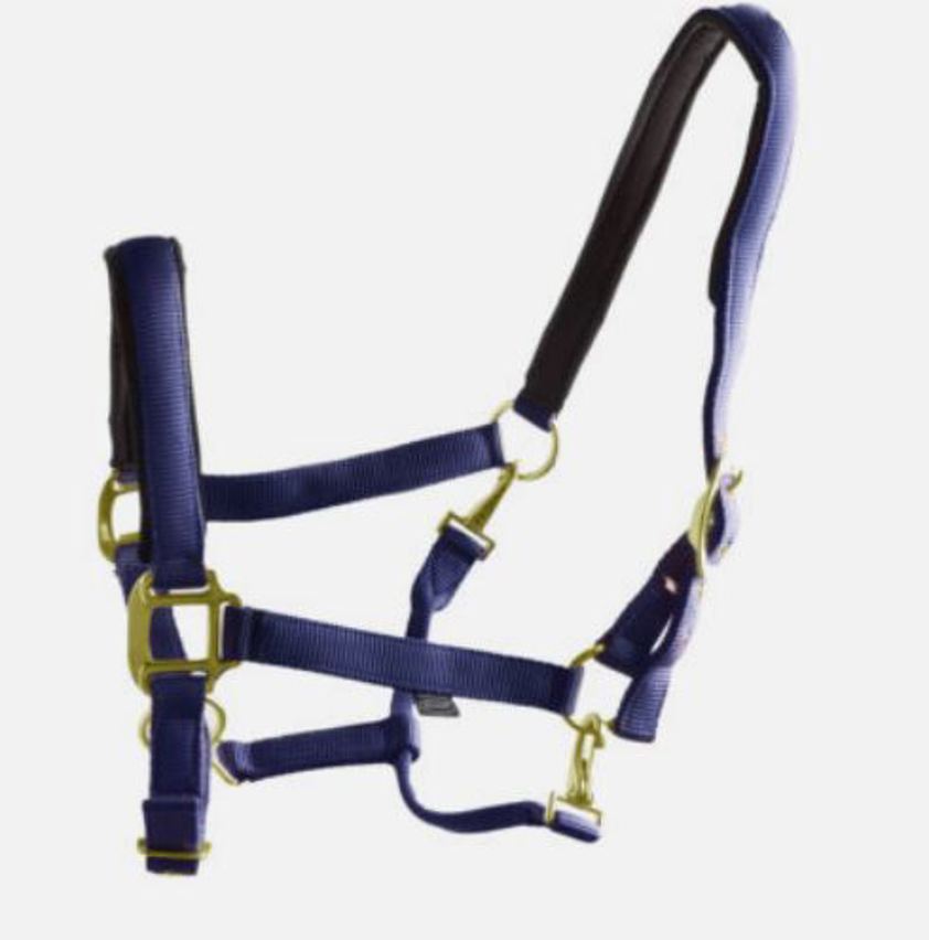 Navy Ascot Nylon Headcollar