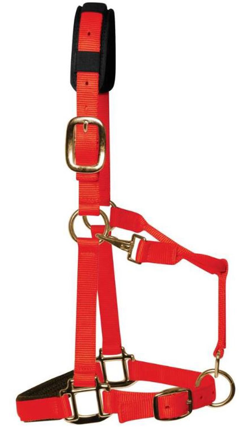 Red Ascot Nylon Headcollar