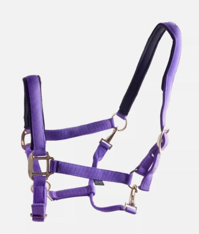Purple Ascot Nylon Headcollar