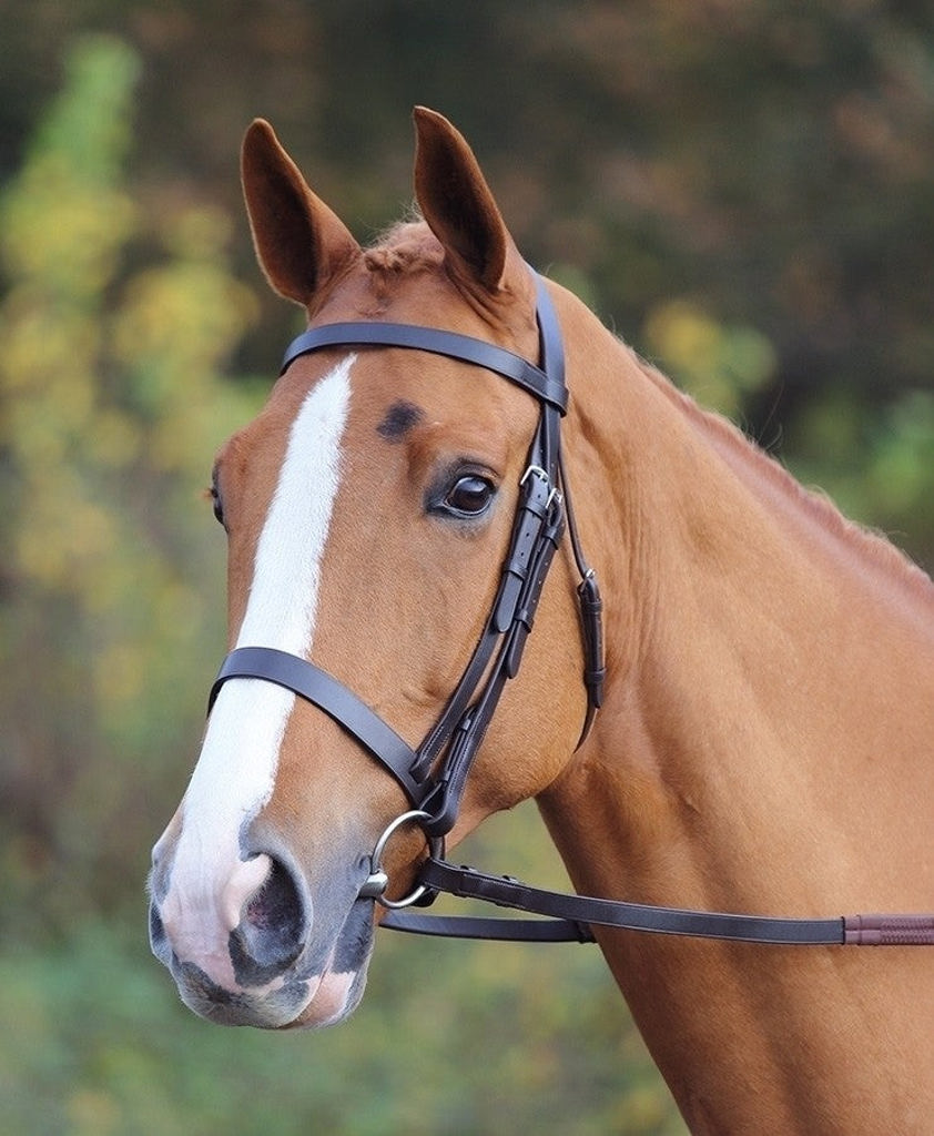 Havana Aviemore Plain Flat Bridle