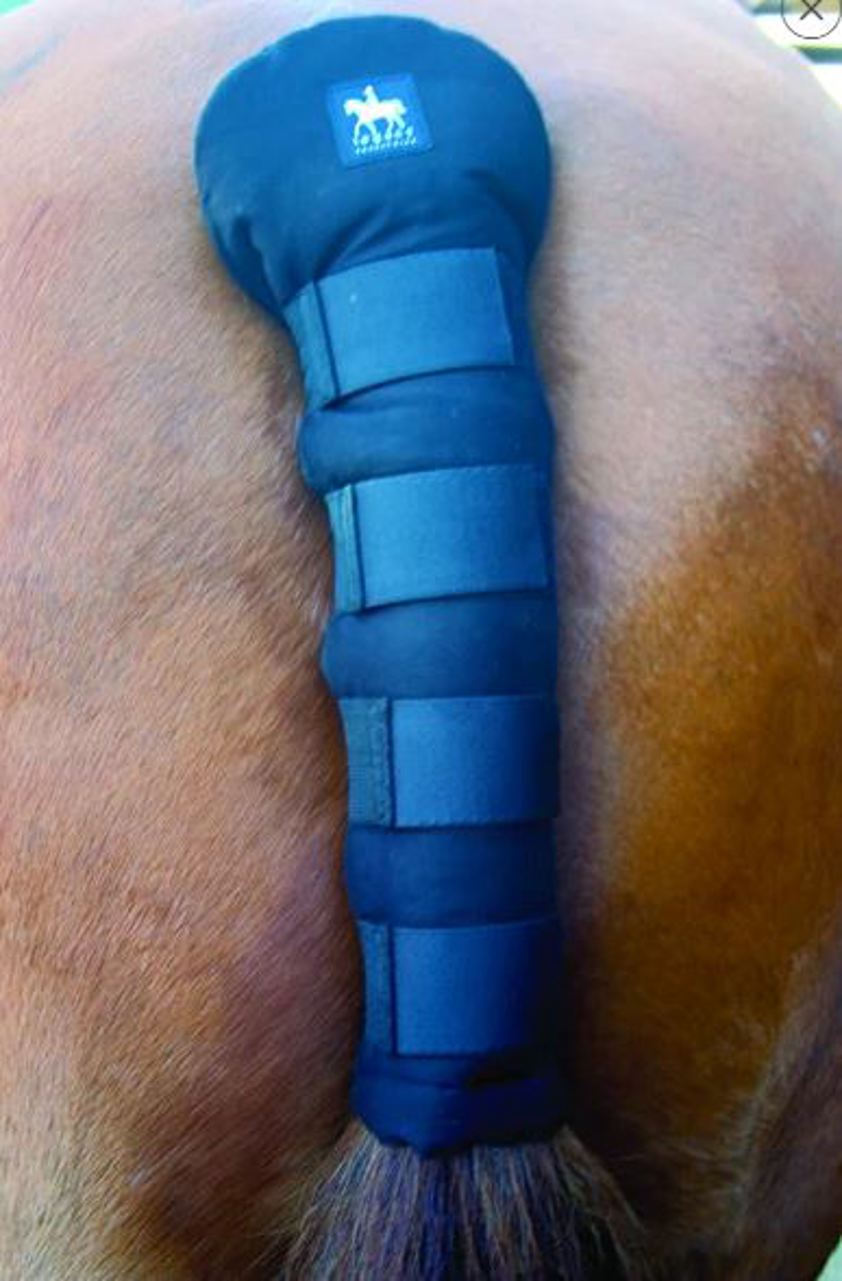 Navy Legacy Tail Guard