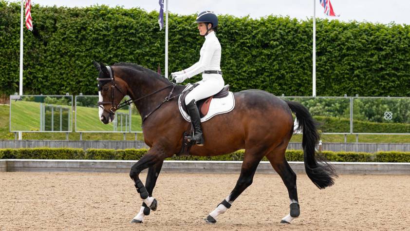 White/Navy Cord LeMieux Loire GP Saddlecloth