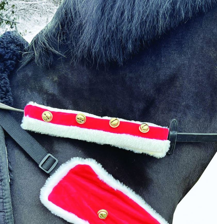 Red/White Sleigh Bell Bridle Accessories (Pair)