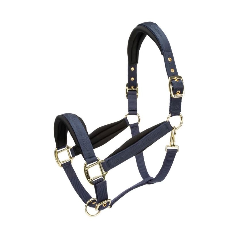 Navy Arma Padded Headcollar