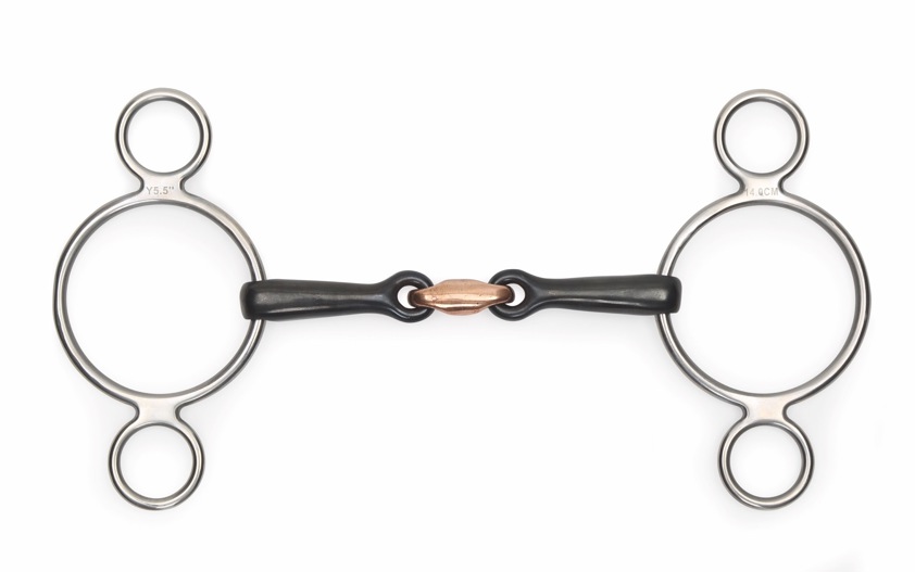 Two Ring Sweet Iron Gag