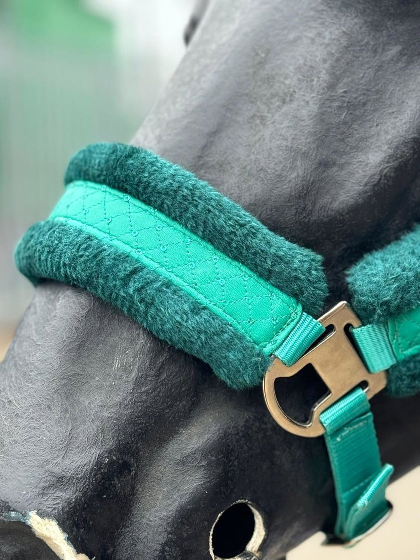 Green Star Headcollar