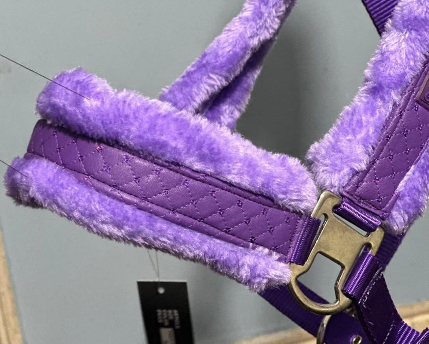 Purple Star Headcollar